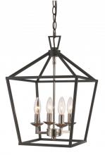 Trans Globe 10264 PC/BK - 4LT PENDANT-BIRD CAGE-PC/BK